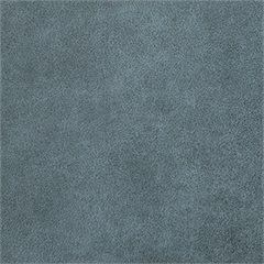 Outback Dolphin